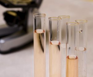 ANP e Qualidade: fiscalização em combustíveis no Brasil